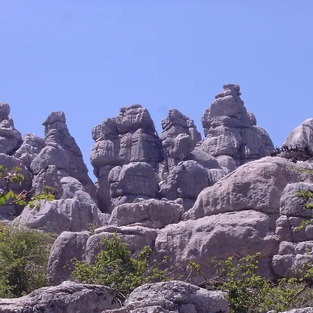 Rural La Paloma